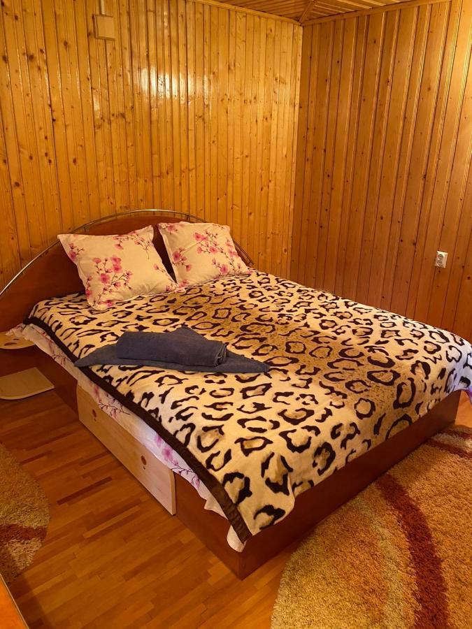 Casa Alesi Villa Dragoslavele Kültér fotó