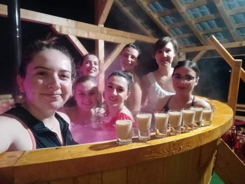 Casa Alesi Villa Dragoslavele Kültér fotó