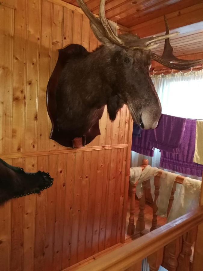 Casa Alesi Villa Dragoslavele Kültér fotó